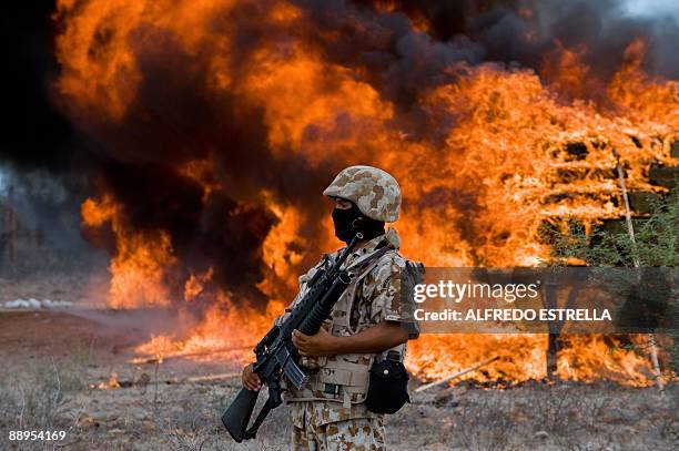 Mexican marine stands guard as 7000 Kgs of seized marijuana are incinerated on July 9 at the naval base in Guaymas, Sonora state, Mexico.