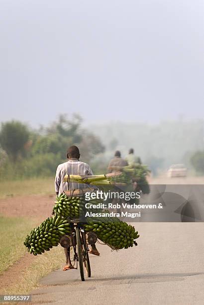 banana vendors on bicycle - go bananas stockfoto's en -beelden