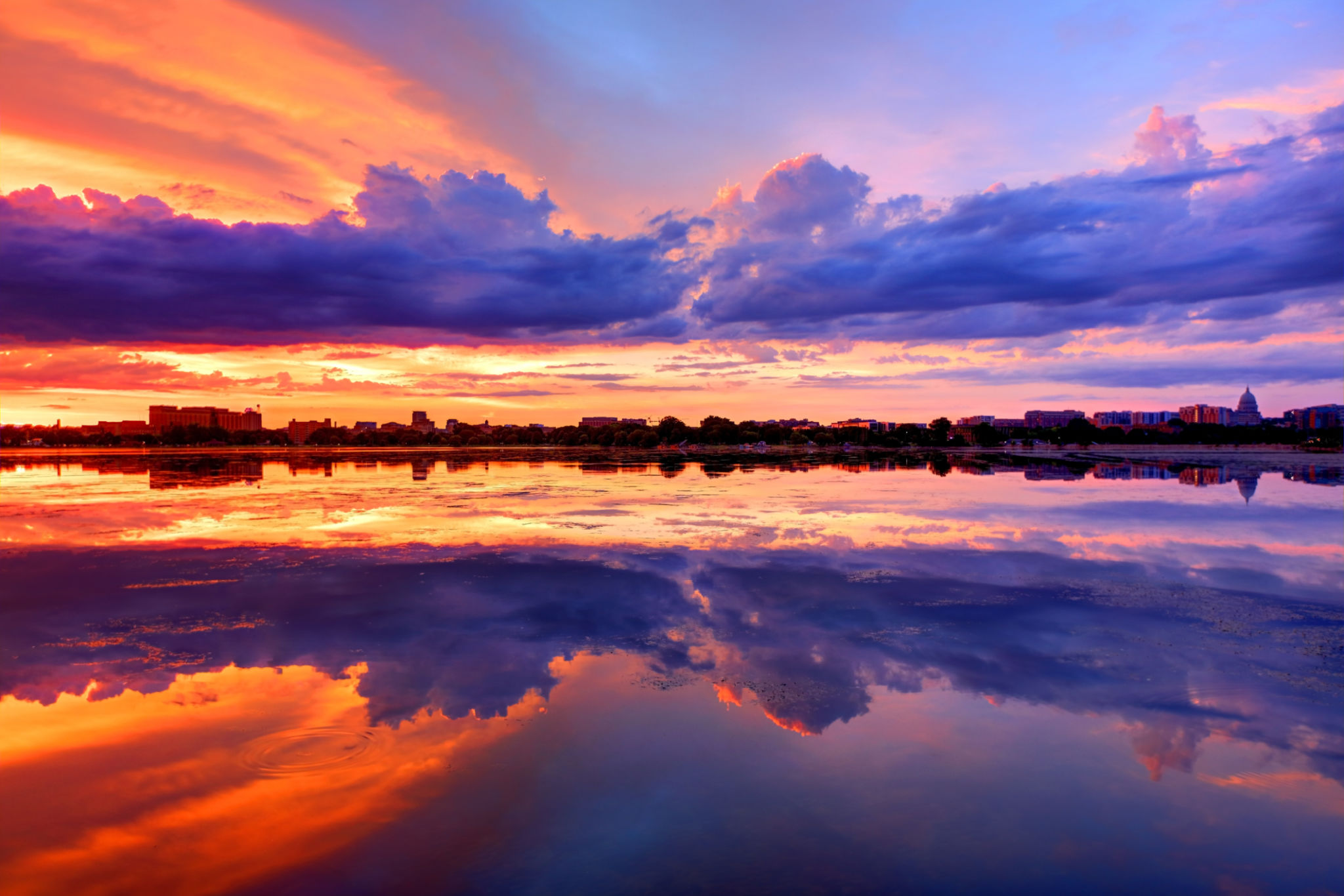 dane county landscape