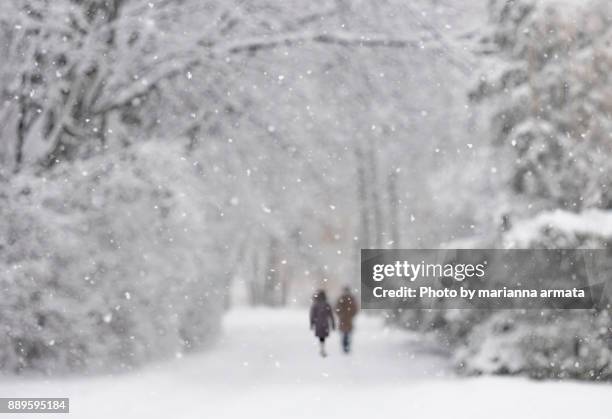 snowy walk - winter quebec stock pictures, royalty-free photos & images