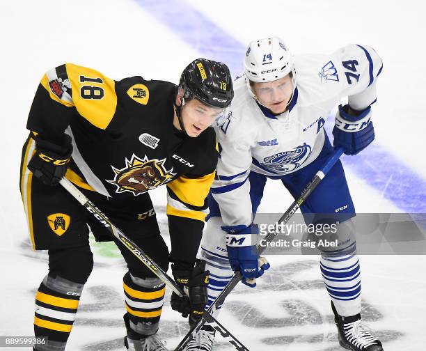 Matthew Strome of the Hamilton Bulldogs prepares for a face-off against Owen Tippett of the Mississauga Steelheads during game action on December 10,...