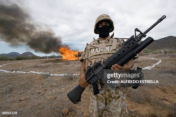 Mexican marine stands guard as 7000 Kg of seized marijuana are incinerated on July 9 at the naval base in Guaymas, Sonora state, Mexico. AFP...