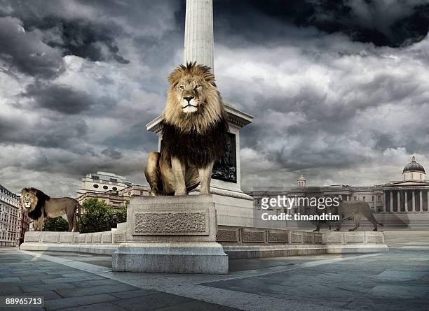 lions in trafalgar square - trafalgar square fotografías e imágenes de stock