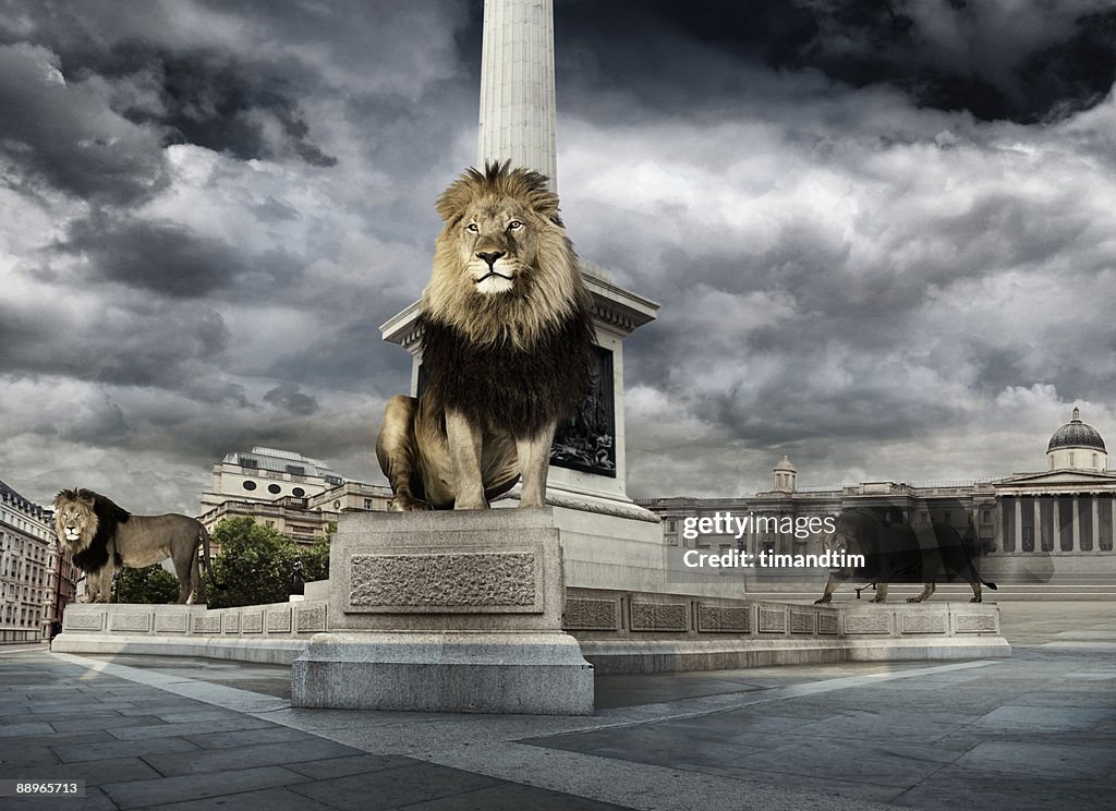 Lions in trafalgar square