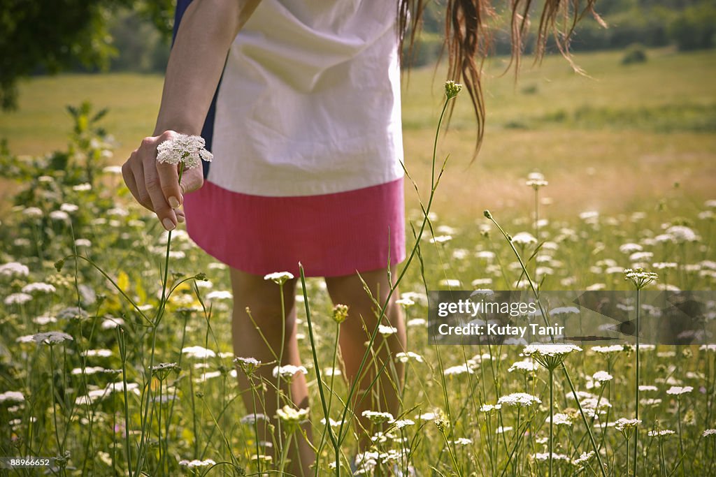 Woman touching flowers in field
