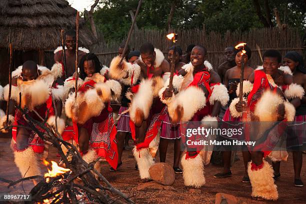 young shangaan warriors dancing around the fire. - traditional ceremony stock pictures, royalty-free photos & images