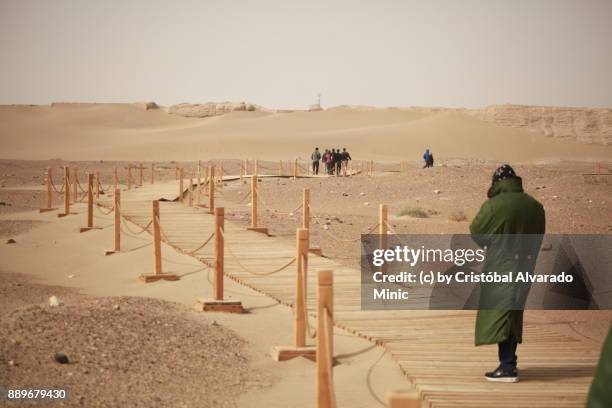 khara-khoto (black city), inner mongolia, china - sandy alvarado stock pictures, royalty-free photos & images