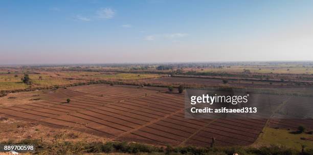 high fields - dera ismail khan stock pictures, royalty-free photos & images