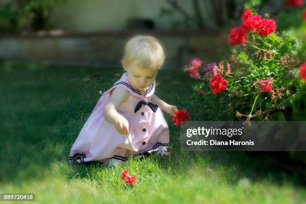 hey cute baby girl in a pink dress is picking flowers in a garden - hey baby stock pictures, royalty-free photos & images