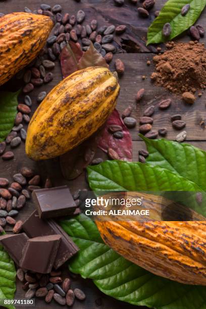 cocoa composition - cacau imagens e fotografias de stock