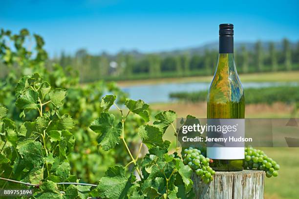 wine valley region - hunter valley stock-fotos und bilder