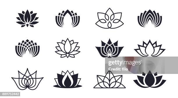 bildbanksillustrationer, clip art samt tecknat material och ikoner med lotus blommor - flower vector