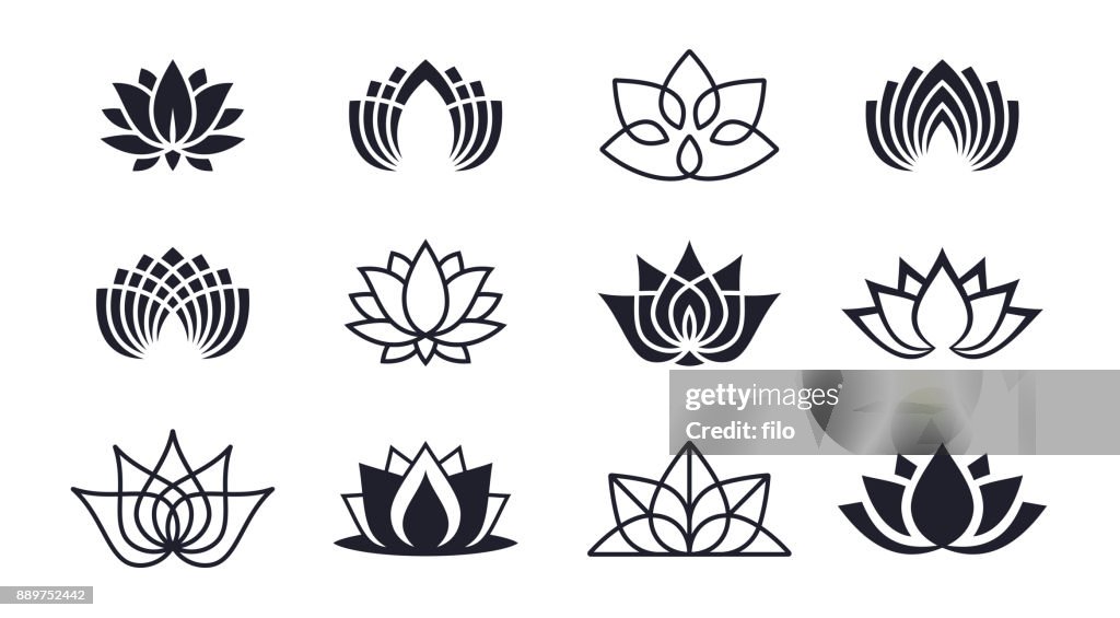 Lotus Blossoms