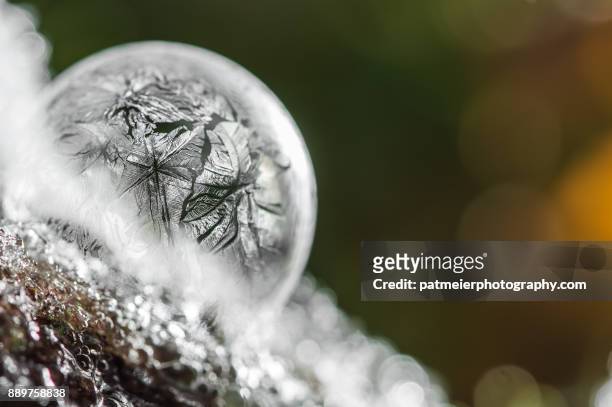 frozen bubbles - winter wonderland londres - fotografias e filmes do acervo