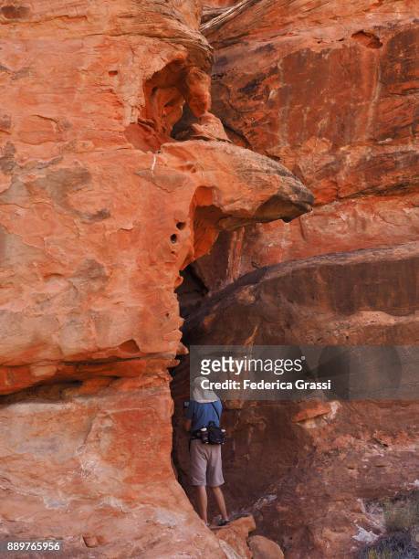 photographing the petroglyphs at gold butte national monument, nevada - mesquite nevada stock pictures, royalty-free photos & images