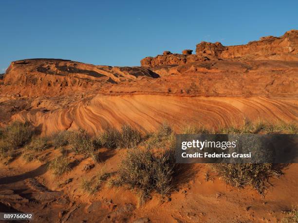 striped pattern in the red sandstone, little finland, nevada - lake mead national recreation area stock-fotos und bilder