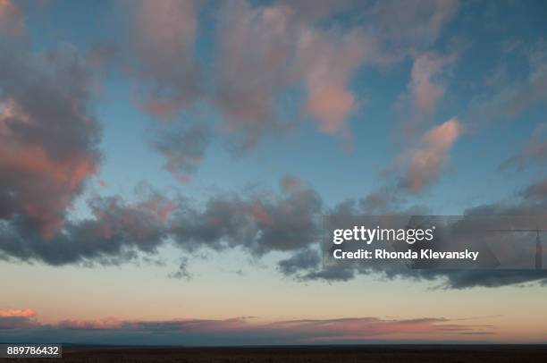 pink sunset cumulus clouds over the patagonia steppes, argentina - rhonda klevansky - fotografias e filmes do acervo