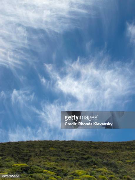 cloud typologies - rhonda klevansky - fotografias e filmes do acervo