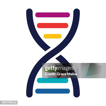 DNA 鏈-向量 DNA 鏈-向量