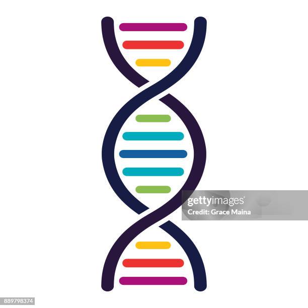 dna strand - vector - adenine stock illustrations