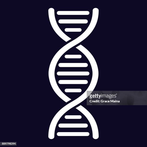 dna strand - vector - guanine stock illustrations