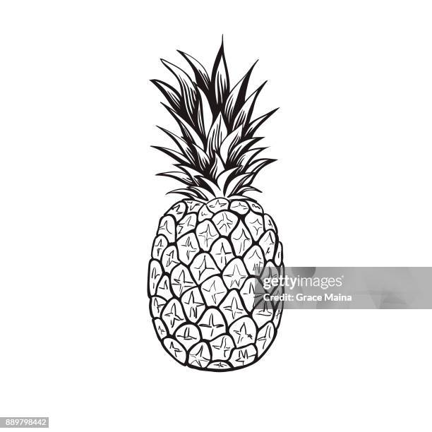 pineapple - vector - pineapple stock illustrations
