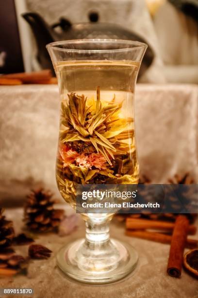 christmas in glr - eliachevitch stock pictures, royalty-free photos & images