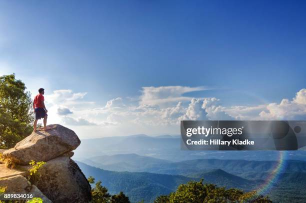 man stands on edge of mountain overlooking blue ridge mountains - north-carolina-amerikaanse-staat stockfoto's en -beelden