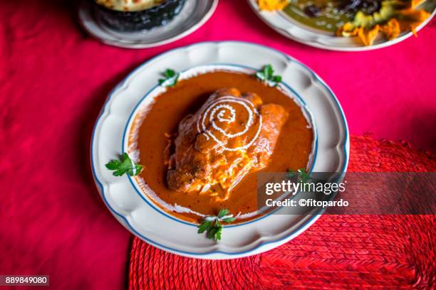 coloradito mole sauce with chicken - molho de pimenta imagens e fotografias de stock