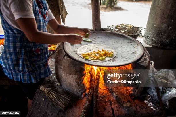 flor de calabaza quesadilla being made in a comal - oaxaca foto e immagini stock