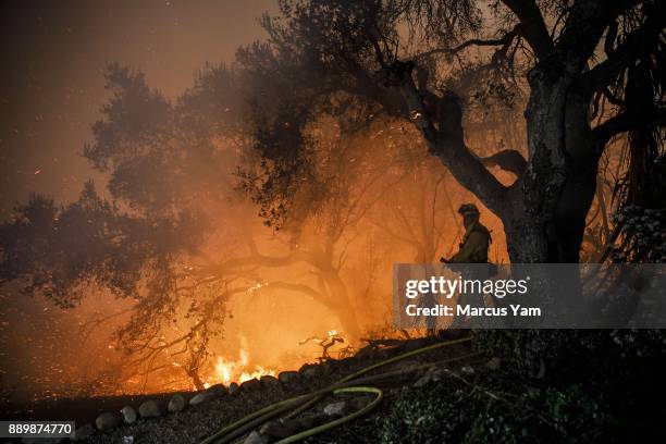 Fire crew provide structure protection in the Shepard Mesa neighborhood as the Thomas Fire raged out of control again overnight, in Carpinteria,...