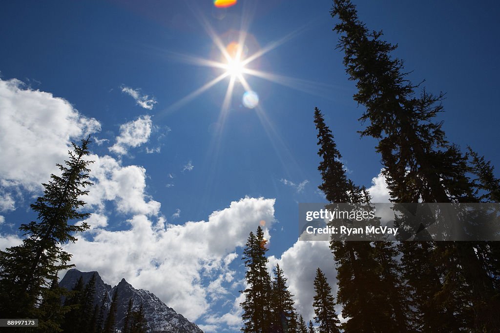 Mountain peak, trees, clouds and flare