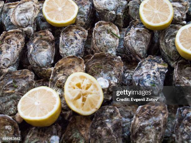 fresh oysters on central market in casablanca, morocco - casablanca photos et images de collection