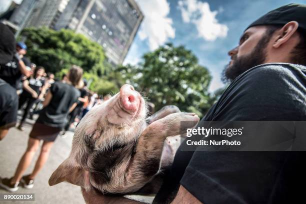 Organized each year by international animal-rights organization Igualdad Animal , protest event with more than 400 activists and supporters of animal...