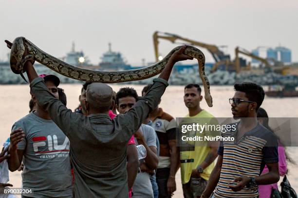 Sri Lankan snake charmer lifts up a full-grown pet python reptile over his head enticing people to wrap the python in their necks at one of the more...