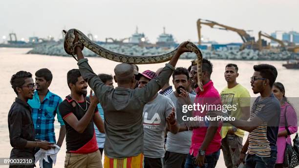 Sri Lankan snake charmer lifts up a full-grown pet python reptile over his head enticing people to wrap the python in their necks at one of the more...