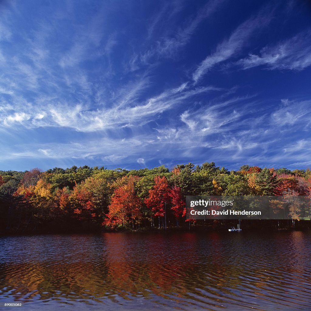 Fall foliage by lake, Maine