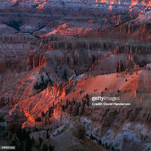 cedar breaks national monument, utah - iron county stock pictures, royalty-free photos & images