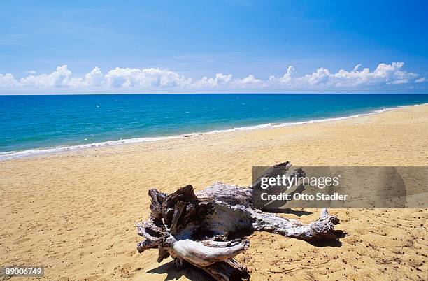 Chendor Chendor Photos and Premium High Res Pictures - Getty Images