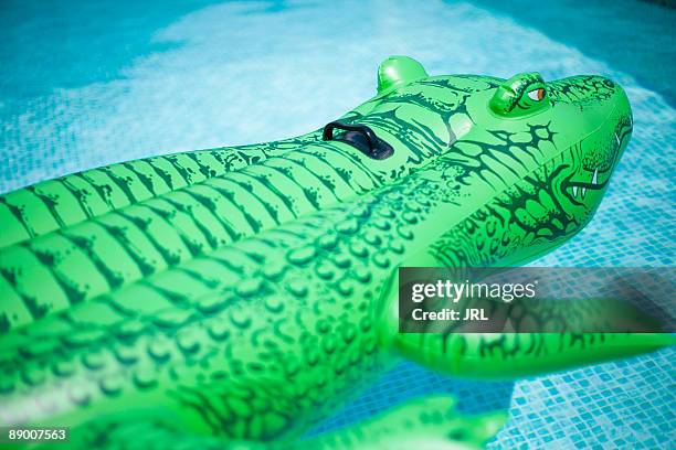 alligator pool toy - inflatable pool toys imagens e fotografias de stock