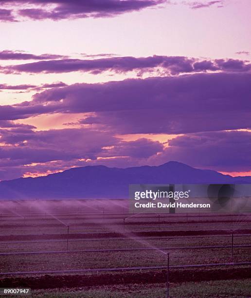 irrigation near salton sea, imperial valley, california - center pivot irrigation stock pictures, royalty-free photos & images
