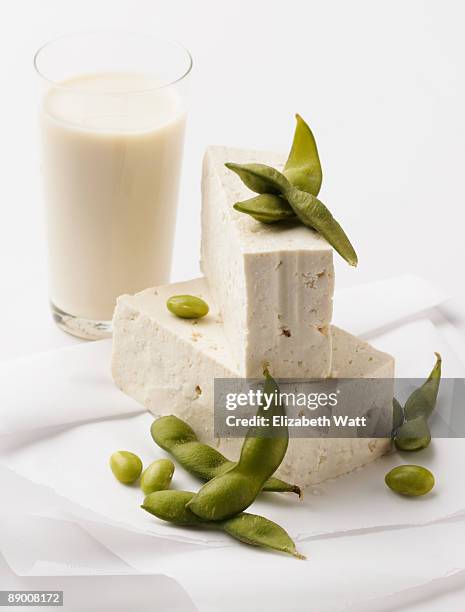 soy milk , tofu , and edamame - lactose intolerance stock pictures, royalty-free photos & images