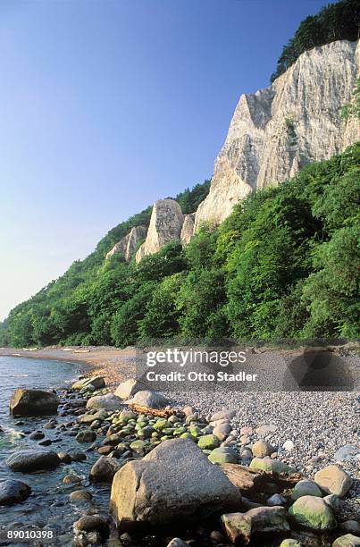 chalk cliffs at stubbenkammer on the island of rugen, germany - rügen island chalk cliffs stock-fotos und bilder