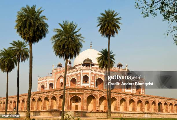 tomb of moghul emperor humayun (1530-1556) in new delhi, india seen through 6 palmtrees - new delhi stock pictures, royalty-free photos & images
