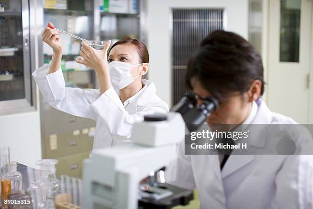 researchers who advance each research - place of research stock pictures, royalty-free photos & images