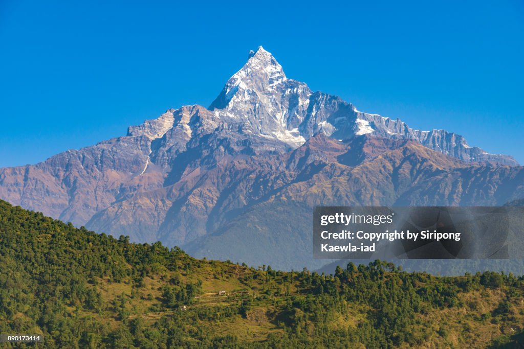 Unique shape of the Machhapuchhre (Fish Tail) peak with blue sky from Pokhara, Nepal.