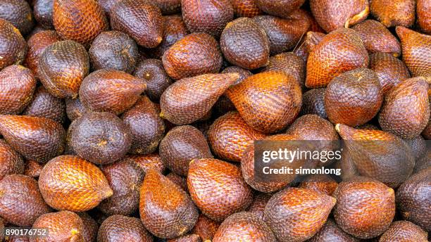 salak, the snake fruit - snake fruit stock pictures, royalty-free photos & images