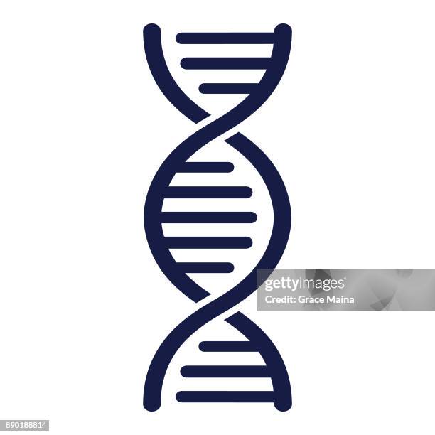 dna-strang - vektor - chemie stock-grafiken, -clipart, -cartoons und -symbole