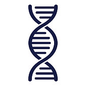 DNA Strand - Vector