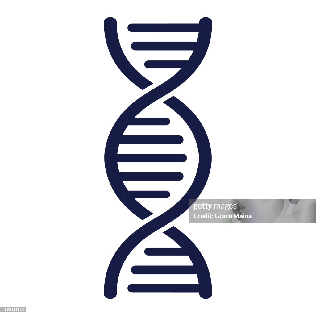 Dna Strand Vector High-Res Vector Graphic - Getty Images